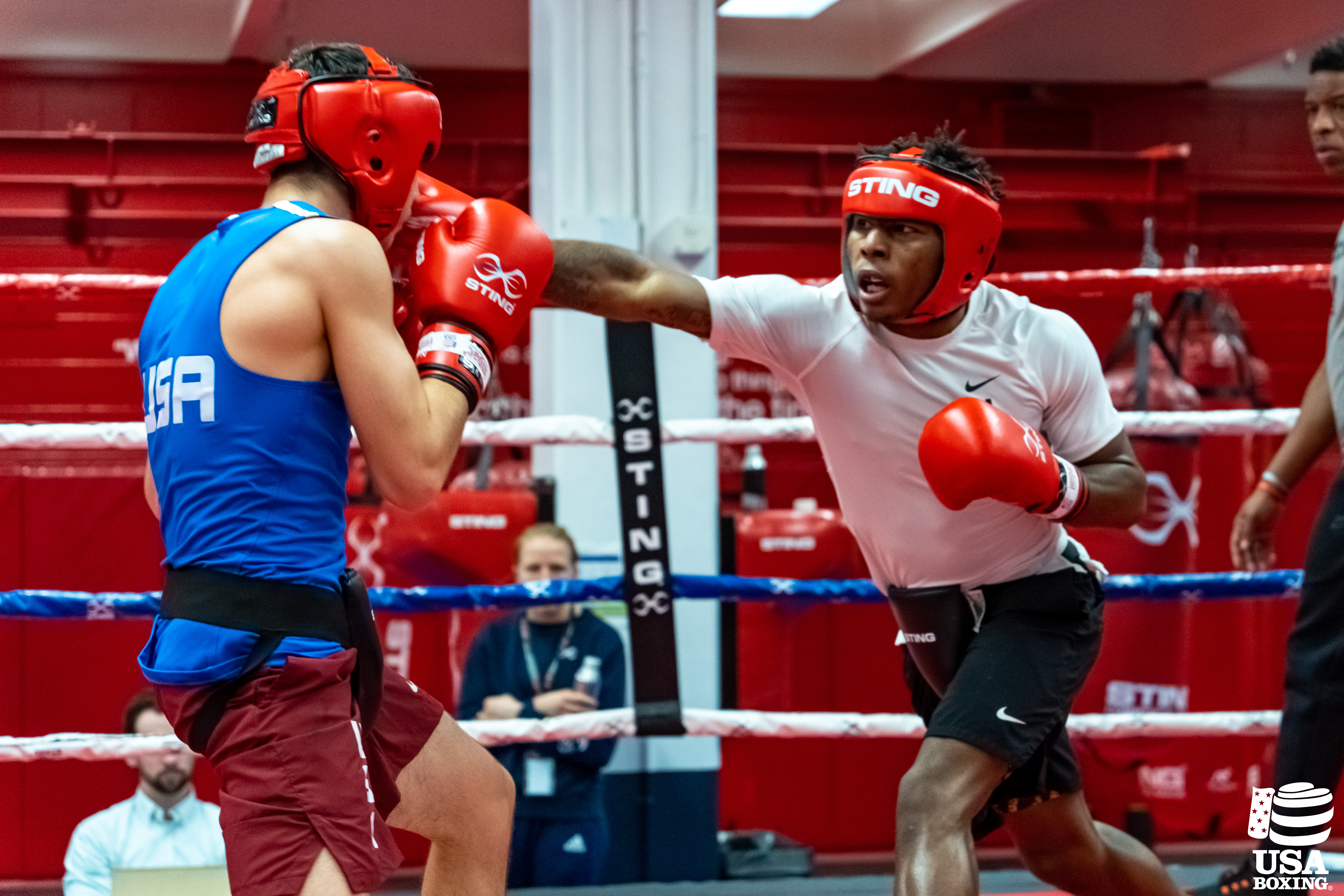 Boxing 2024